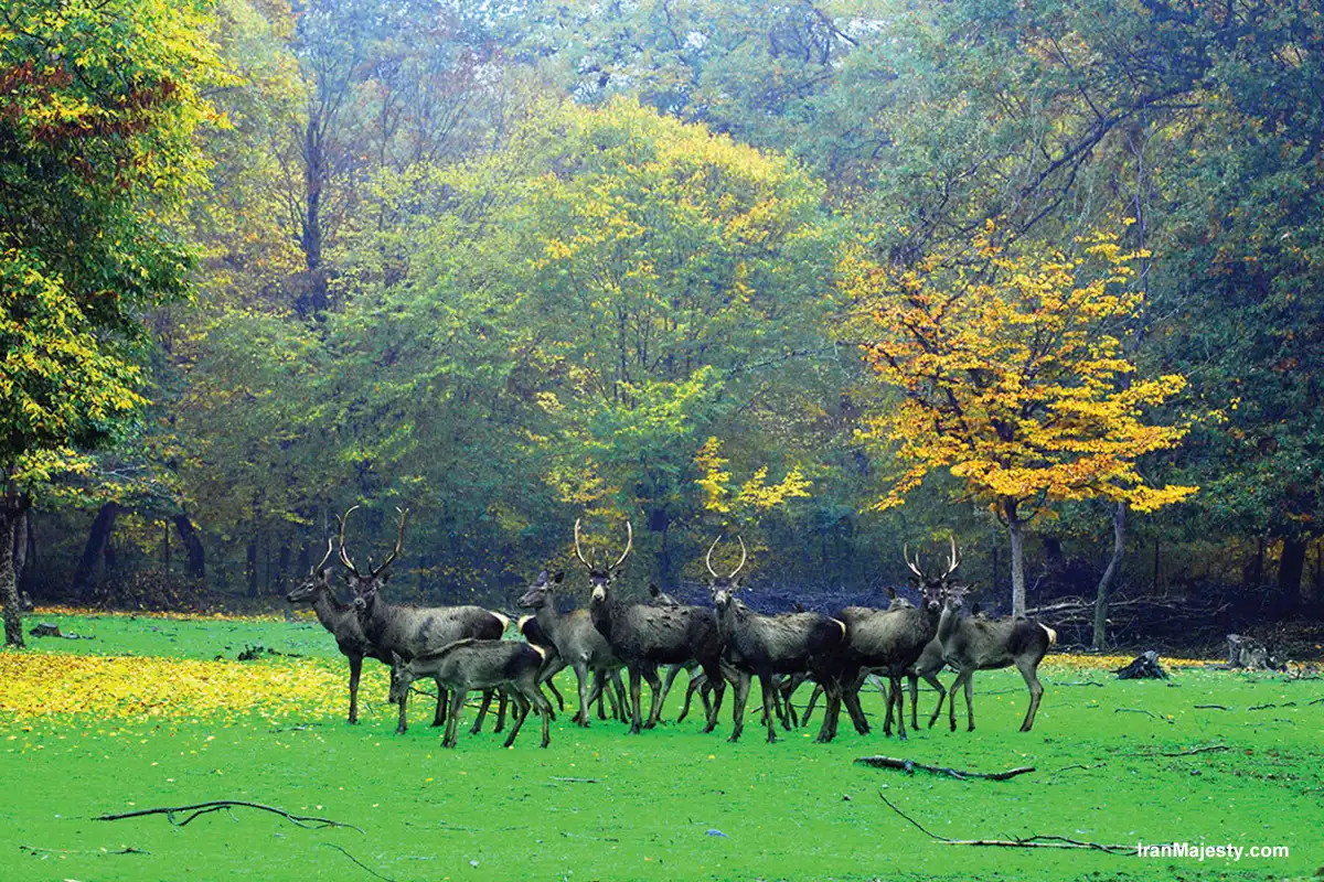 Golestan National Park