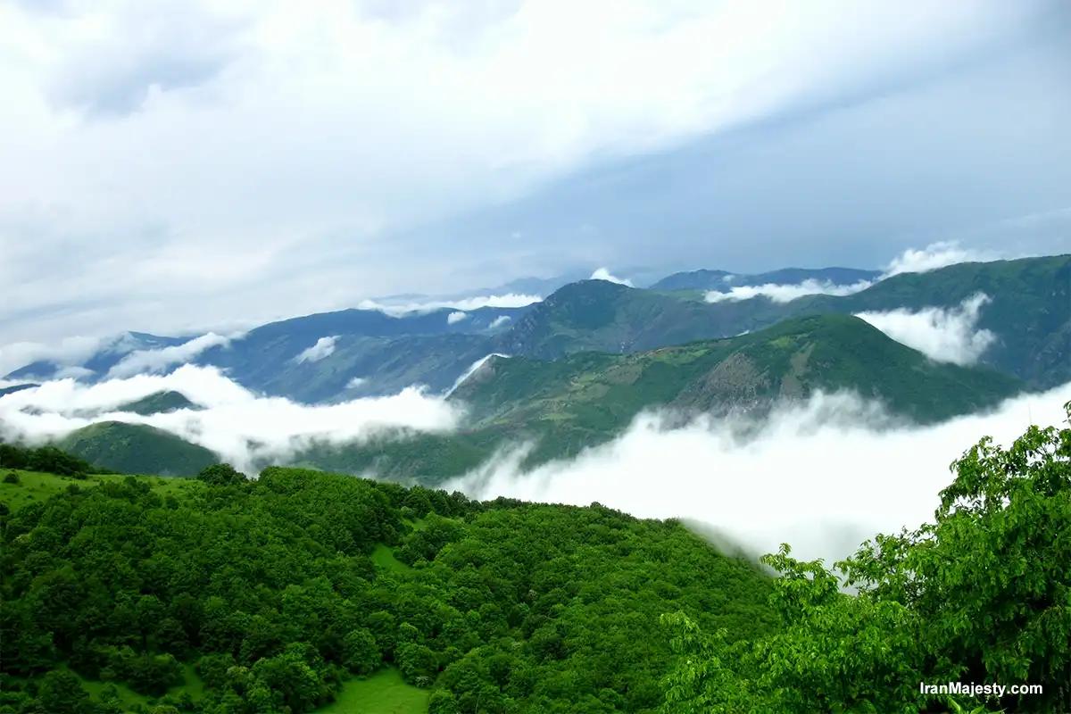 Iran’s Majestic Forests