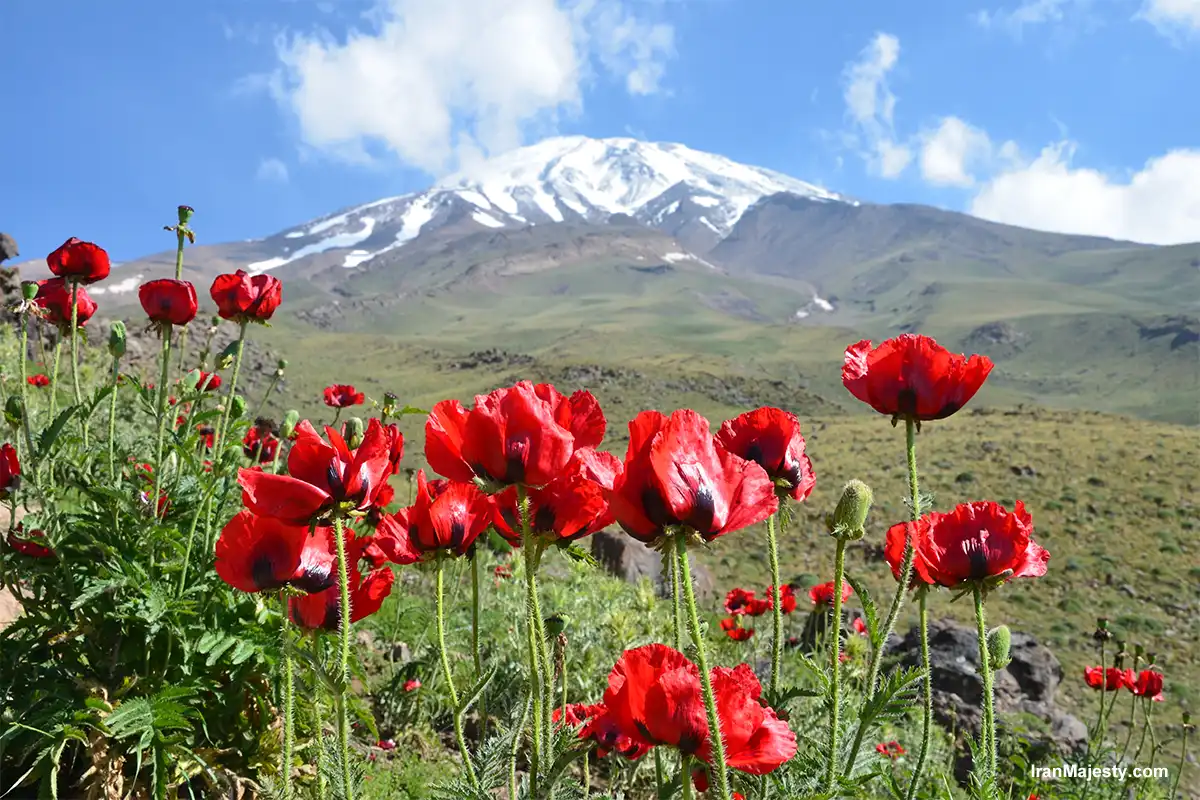 Mount Damavand The Crown of Iran